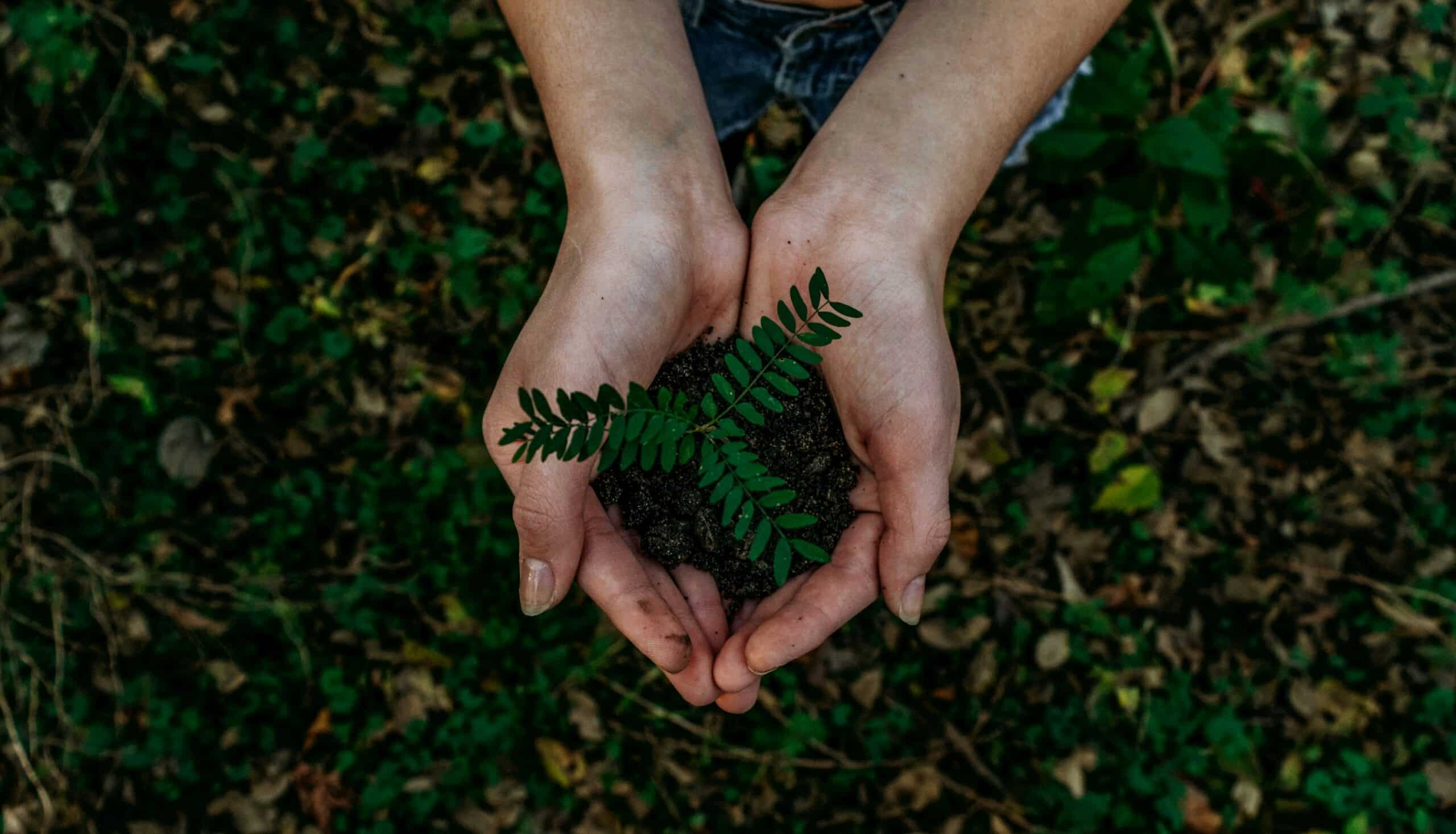 Green Horizons: Unveiling Customer Insights for Sustainable FMCG Products