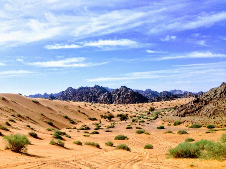 Navigating Opportunities: Market Scan for Land Use Strategies Land Use Strategy - Market Scan